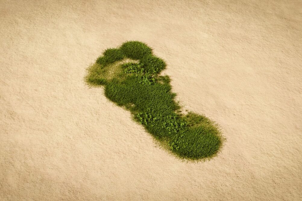 Vegetación en el desierto con forma de huella